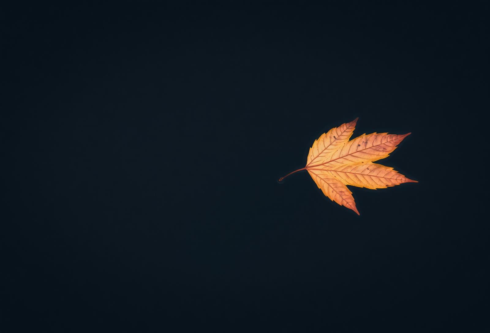 What Grief Changes
