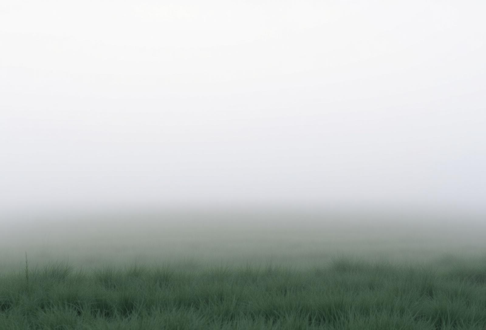 The Wisdom of Not Knowing Yet
